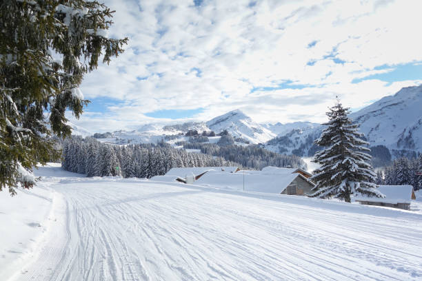 istock Ready for winter sports fans 1337390006