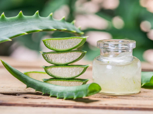 Fresh aloe leaves and aloe gel in the cosmetic jar on wooden table. stock photo