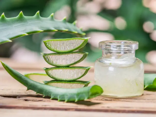 Photo of Fresh aloe leaves and aloe gel in the cosmetic jar on wooden table.