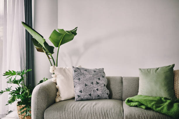 tiro de um sofá no salão em casa - cushion - fotografias e filmes do acervo