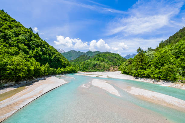 istock Cellina Stream, Friuli-Venezia Giulia, Italy 1337394070