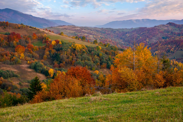 istock mountainous countryside at dusk 1337406383