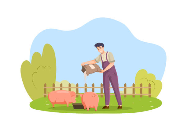 ilustraciones, imágenes clip art, dibujos animados e iconos de stock de feliz granjero macho en mono alimentando a cerdo trabajador agrícola dando comida a animales de granja - animal husbandry illustrations