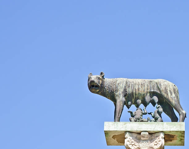 Copy Right Free Rome Wolves 340+ The Wolf Symbol Of Rome Stock Photos, Pictures & Royalty-Free ...