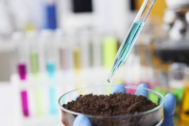 istock Scientist drips pipette with blue liquid into flask filled with earth 1337410454