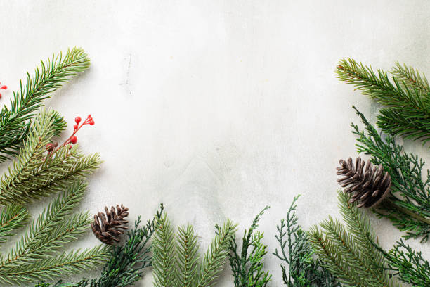 istock Christmas frame with fir tree branches on light wooden background 1337411913