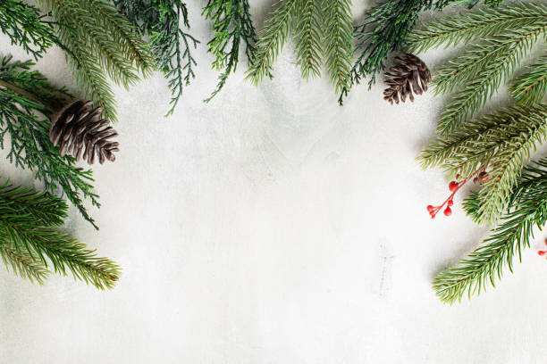 istock Christmas frame with fir tree branches on light wooden background 1337411941