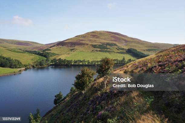 Overlooking Glencorse Stock Photo - Download Image Now - Midlothian - Scotland, Pentland Hills, Reservoir