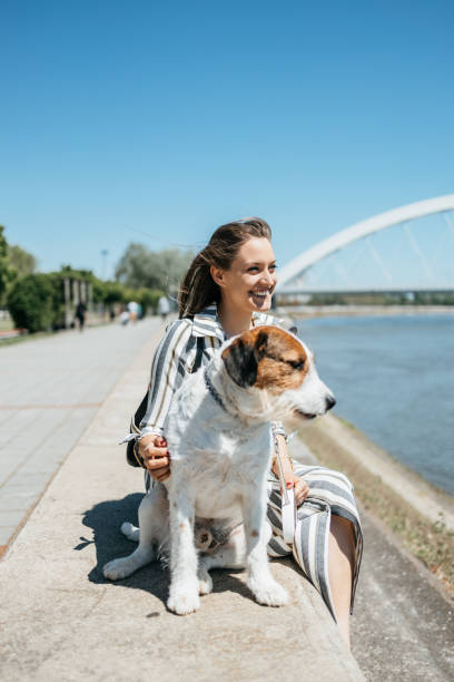 istock Beautiful young woman with adopted dog 1337413305