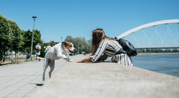 istock Beautiful young woman with adopted dog 1337413346