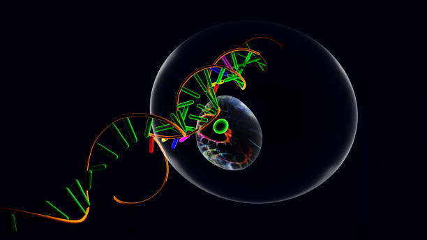 istock RNA, helix, cell and cell division 1337413688