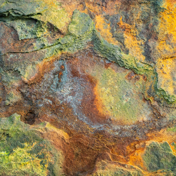 istock Old and rusty detail on ran aground hull 1337413992