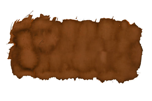 istock Texture trace from a brush with paint on a white background, isolated. Graphic resource 1337418387
