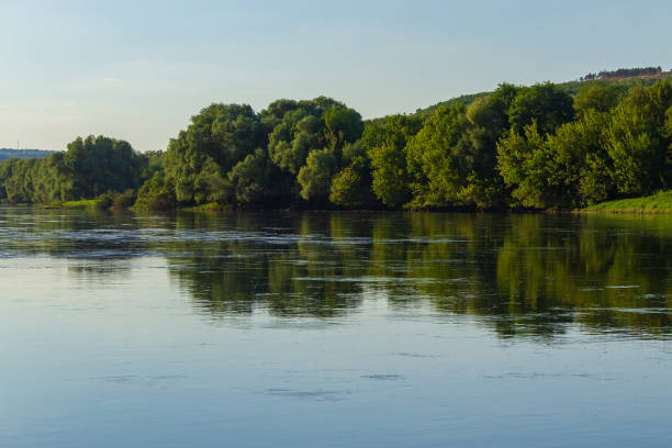 istock Very beautiful river water surface. Natural green background. 1337418435
