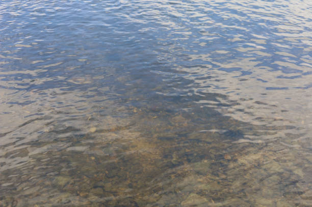 Clean and transparent fresh river water with a reflection of the sky. Selective focus. Good ecology environment concept