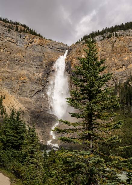 istock Takakkaw Falls waterfall in Yoho National Park. 1337419744