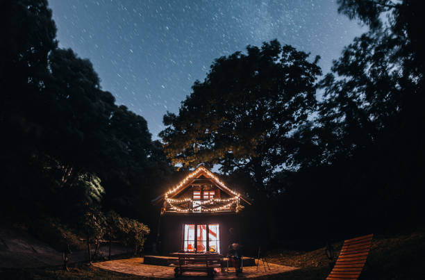 istock Cozy ecological log cabin in the forest under the milky way 1337420361