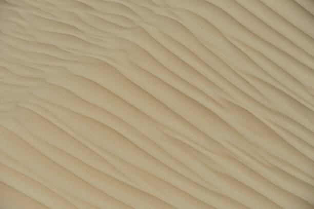 istock Second largest mobile desert in the world-Taklimakan 1337423004