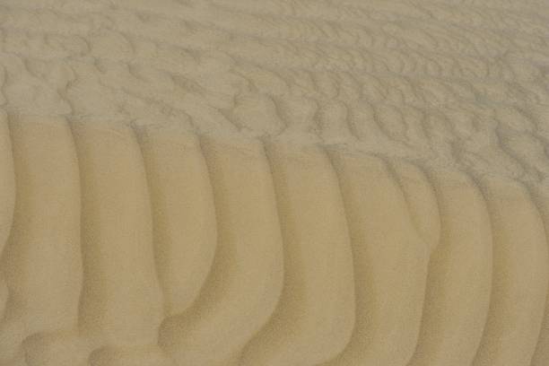 istock Second largest mobile desert in the world-Taklimakan 1337423109