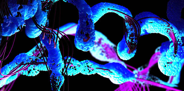 istock Chain of amino acid or bio molecules called protein - 3d illustration 1337423255
