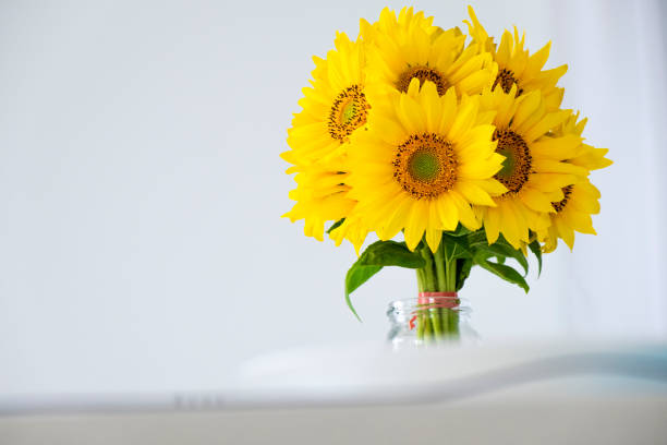 istock Sunflowers in vase 1337424550