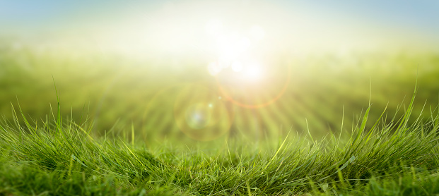 Sunset over green summer autumn farm fields and grass with a blurred sunset background.