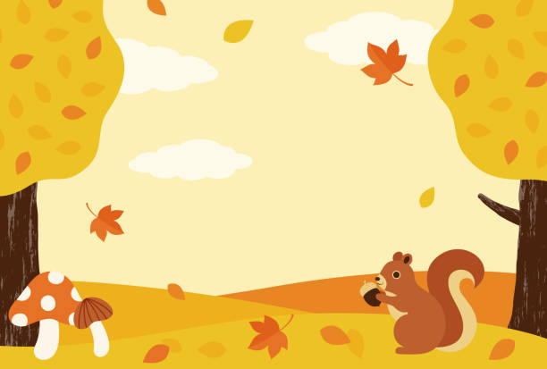 векторный фон с осенним пейзажем в лесу для баннеров, открыток, флаеров, обоев в социальных сетях и т.д. - cloud mushroom fungus cartoon stock illustrations