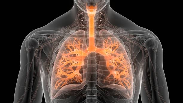 Respiratory Infections