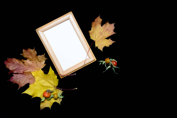 istock Mock-up scene. Blank yellow frame, red maple leaves and red rose hips isolated on black background. Flat lay, top view. Autumn nature style. 1337433343
