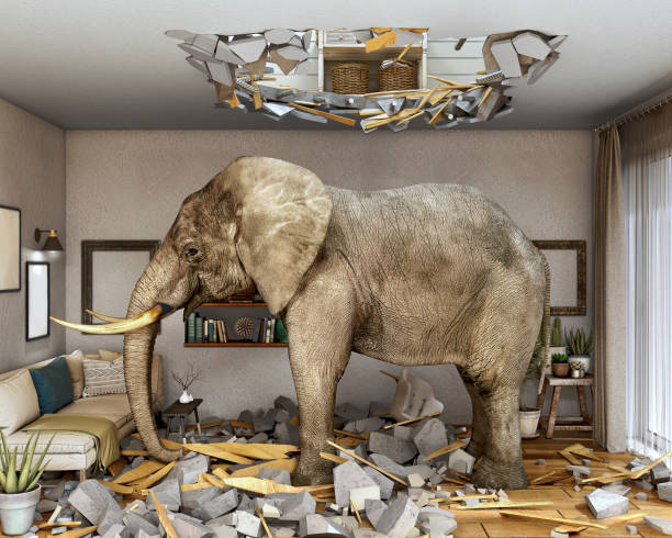 destroyed interior concept, elephant in the middle of room, fell from the ceiling with a hole in it and wood and concrete pieces all around, 3d illustration - cair no sofá imagens e fotografias de stock