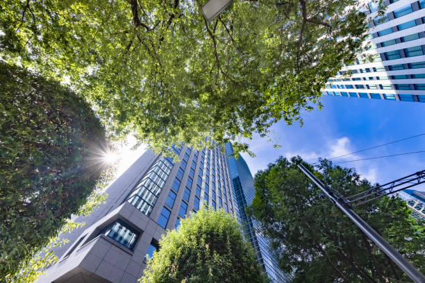 istock Tokyo buildings illuminated by the refreshing morning light 1337434465