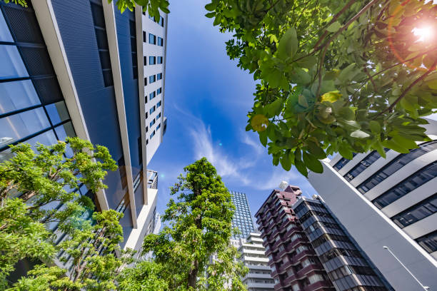 istock Tokyo buildings illuminated by the refreshing morning light 1337434476
