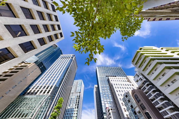 istock Tokyo buildings illuminated by the refreshing morning light 1337434500