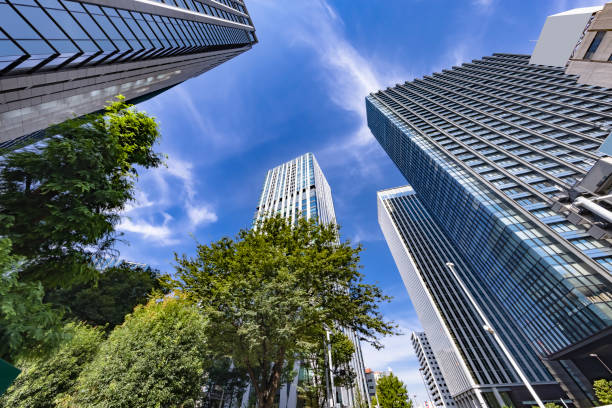 istock Tokyo buildings illuminated by the refreshing morning light 1337435015