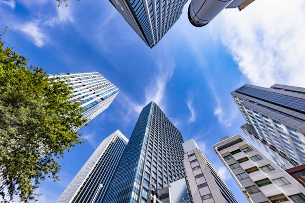 istock Tokyo buildings illuminated by the refreshing morning light 1337435025