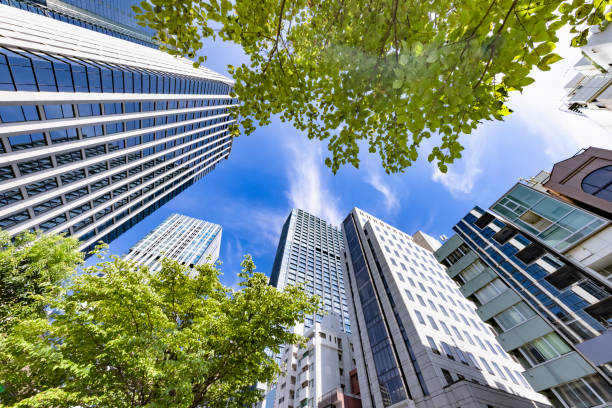 istock Tokyo buildings illuminated by the refreshing morning light 1337435052