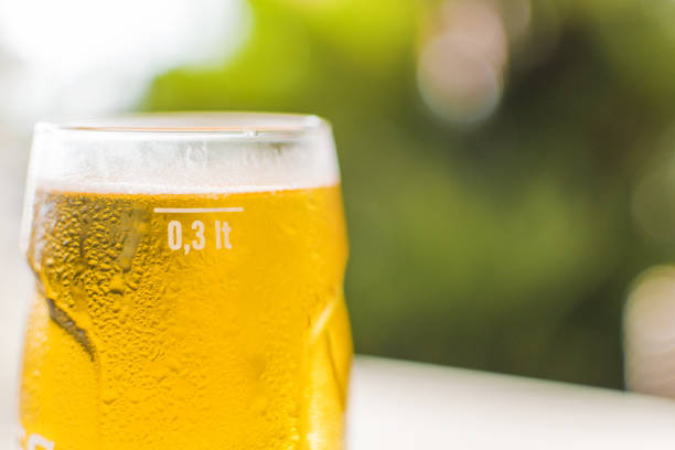 glas bier - serving drink beer garden beer glass stock-fotos und bilder