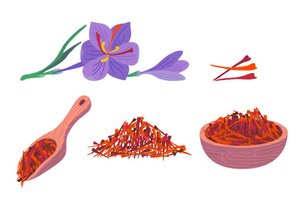 cartoon color saffron flower and spice set. wektor - crocus stock illustrations