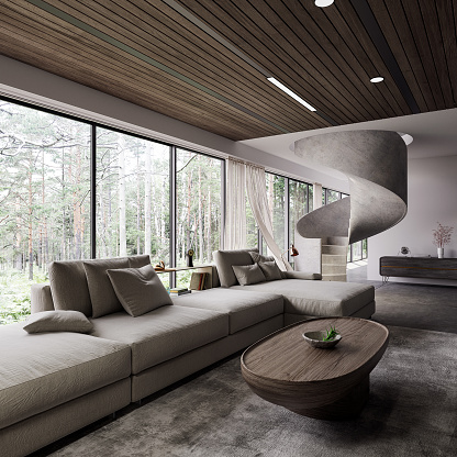 Modern Organic Living Room and Dinig Room Interior Design. 3D Modelling.