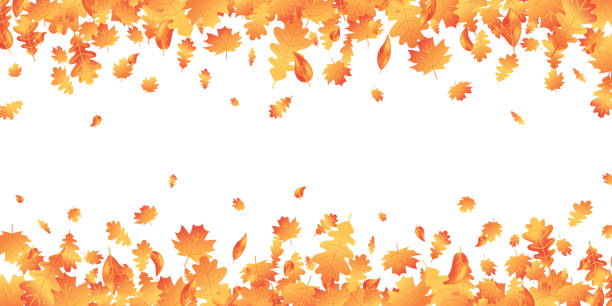 herbstblätter lange grenze. herbst ahorn zusammensetzung. oktober laubrahmen. eichenblatt dekor september poster. orangenpflanze. thanksgiving-karte. harvest party web-banner. vektor-illustration - autumn backgrounds leaf thanksgiving stock-grafiken, -clipart, -cartoons und -symbole