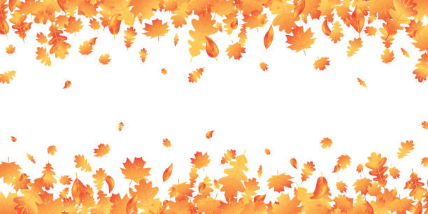 紅葉長い国境。秋のメープルコンポジション。10月の葉フレーム。オークリーフの装飾9月ポスター。オレンジ色の植物。感謝祭の日カード。収穫パーティーのウェブバナー。ベクトルの図 - leaf autumn falling thanksgiving点のイラスト素材／クリップアート素材／マンガ素材／アイコン素材