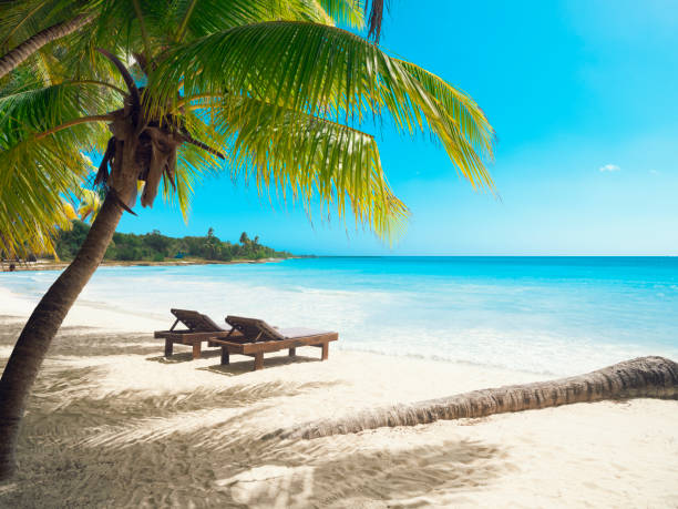 playa tropical en mar caribe, isla saona, república dominicana - beach fotografías e imágenes de stock