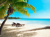 istock Tropical beach in caribbean sea, Saona island, Dominican Republic 1337444225