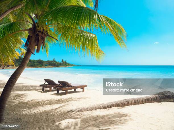 Tropical Beach In Caribbean Sea Saona Island Dominican Republic Stock Photo - Download Image Now