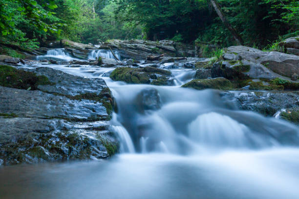 istock Nasiczanski stream in Bieszczady Mountain. Poland. Close up 1337444355