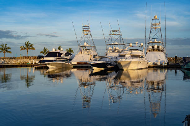 istock Many Boats Docked at a Marina with palm tree and blue sky 1337444684