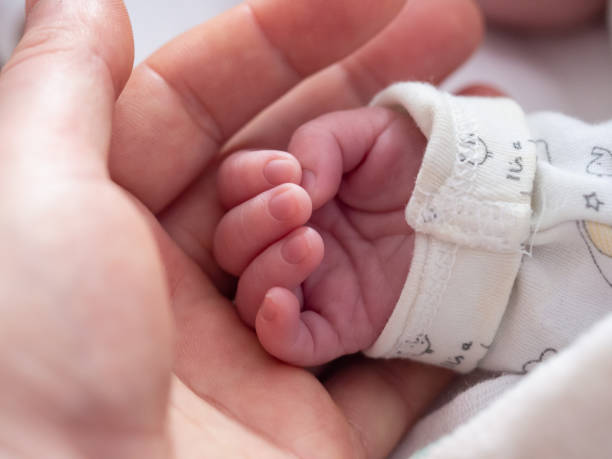 istock Hand of newborn baby. 1337447844
