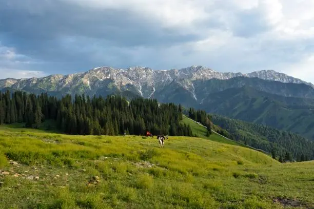 The Xinjiang Uygur Autonomous Region, 
Yili Kazak Autonomous Prefecture,Yili,
Guozigou, known as "the first scene in Yili", It is 28 kilometers long.
Guozigou Grand Canyon terrain dangerous, picturesque.
To travel to Northern Xinjiang, will first come to the Guozigou.
There are beautiful snow mountains, forests and pastures.