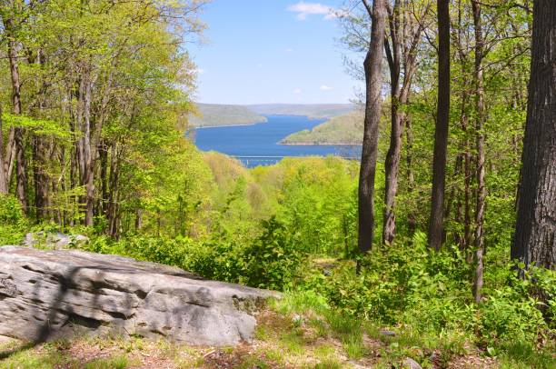 istock Allegeny National Forest Pennsylvania 1337459239