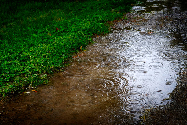 Puddles after rain on decorative tiles